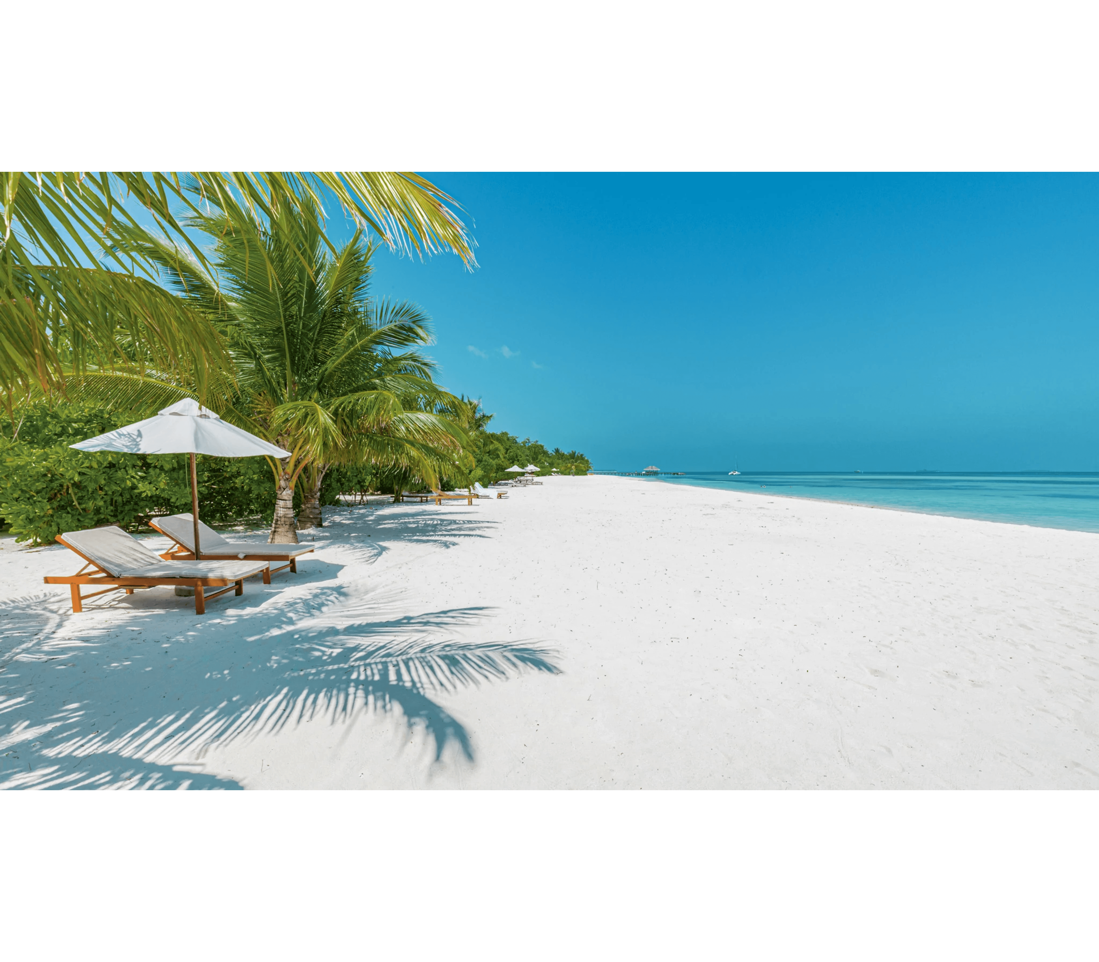 Savings Up to 40% + $200 USD Resort Coupons