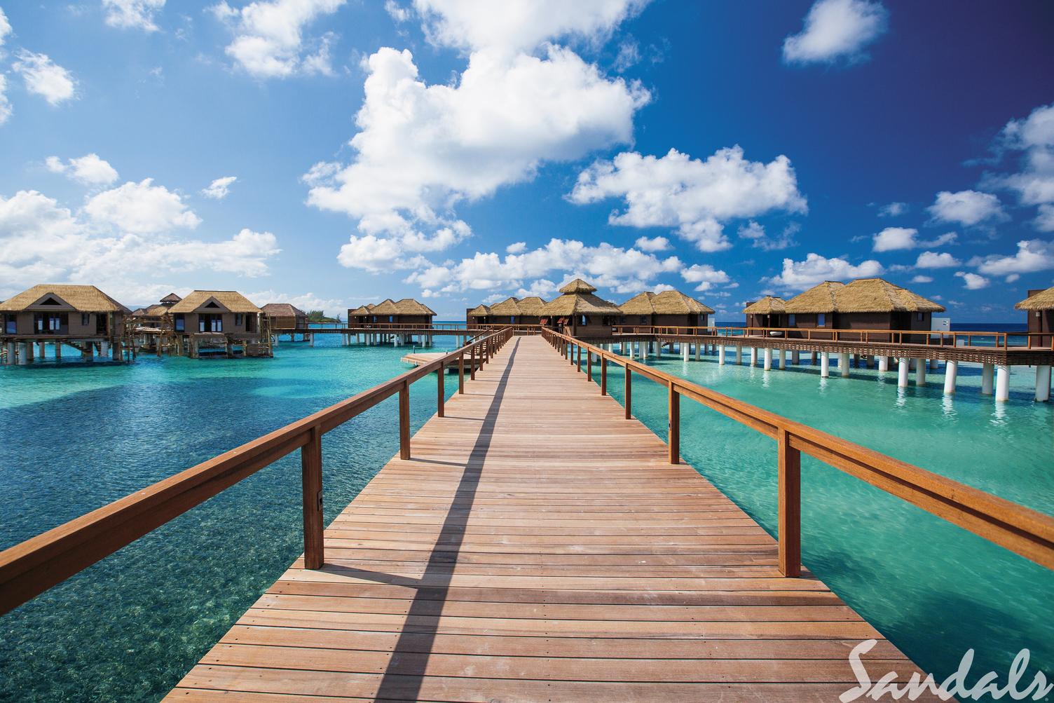 Vegans Can Experience Luxury at Sandals Ochi Beach Resort!