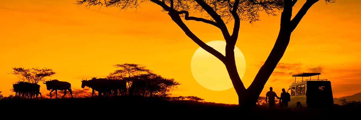 Save on Safaris in Kenya and Tanzania