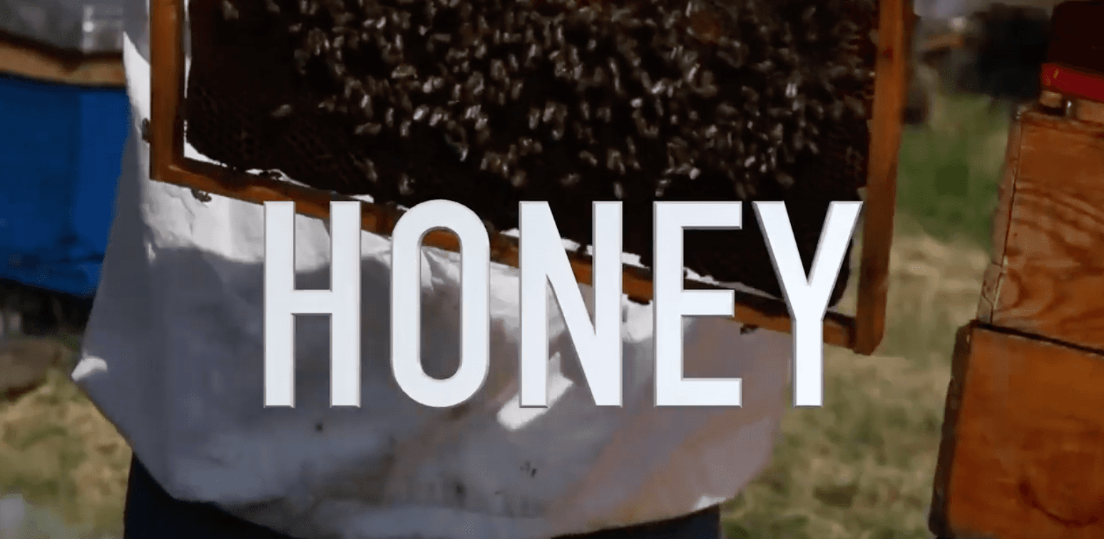 Easy Vegan Hack 10 for Veganuary - Honey Substitute