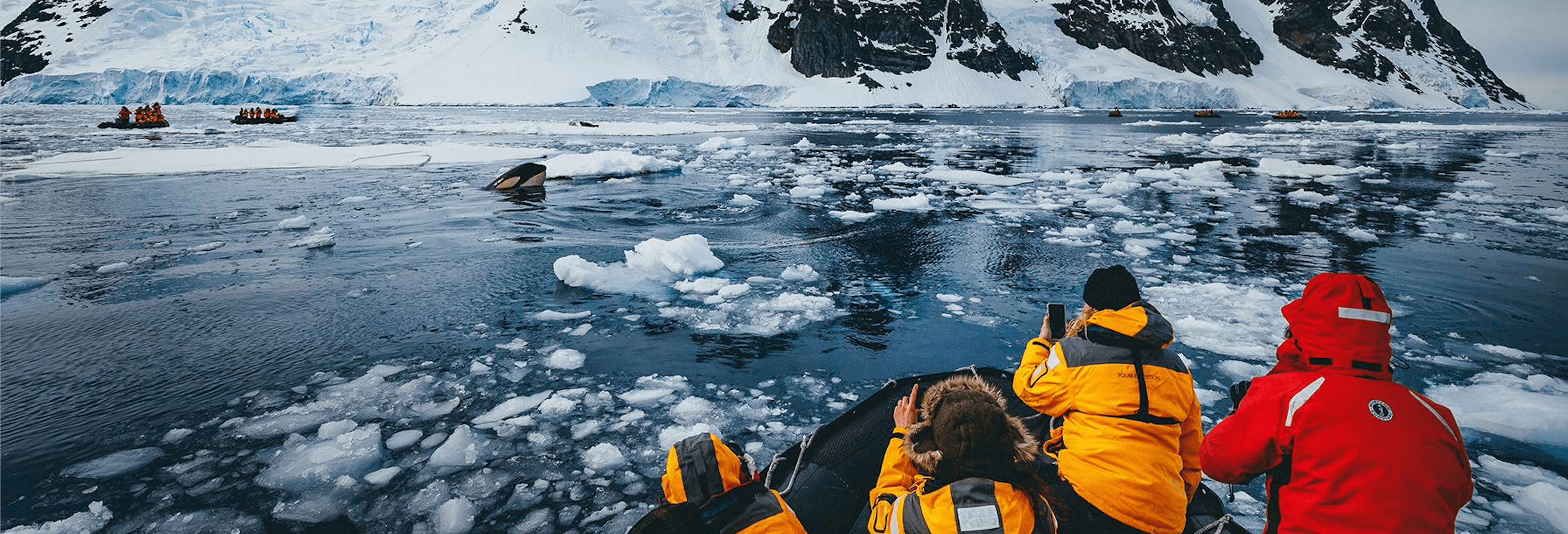 A Vegan Traveller's Antarctic Experience
